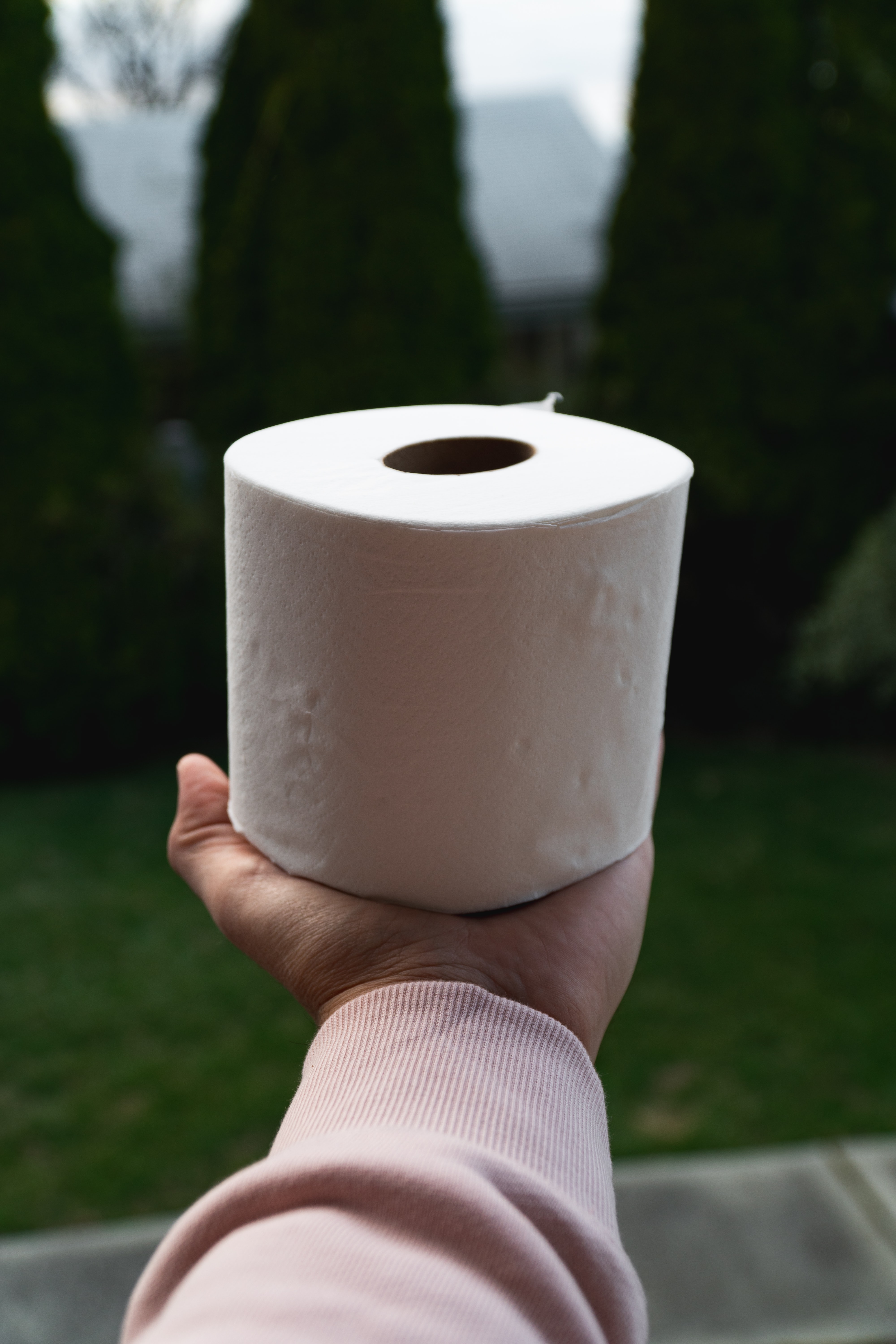 toiletpaper